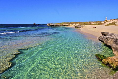Rottnest Island Bayseeker Day Trip From Perth - Pubs Perth 5