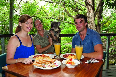 Breakfast With The Koalas At Hartley's Crocodile Park From Cairns Or Palm Cove - Pubs Perth 0