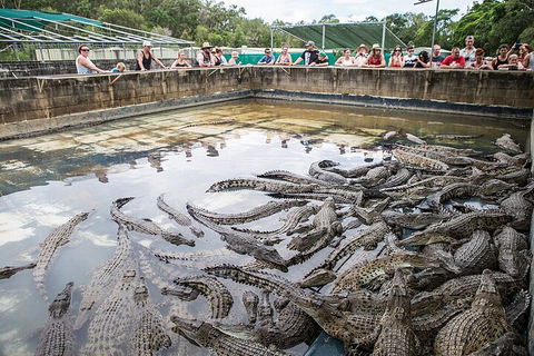 Hartley's Crocodile Adventures Day Trip From Cairns - Pubs Perth 0