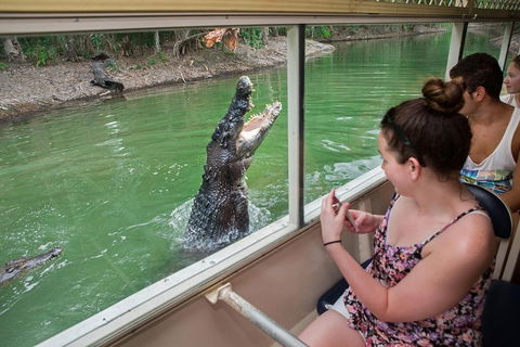 Hartley's Crocodile Adventures Day Trip From Cairns - Pubs Perth 3
