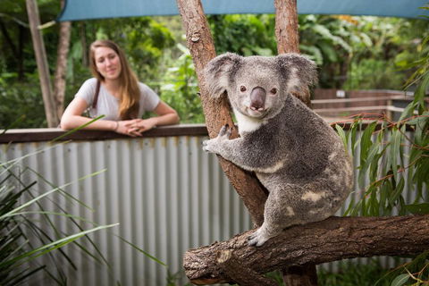 Hartley's Crocodile Adventures Day Trip From Cairns - Pubs Perth 5