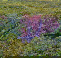 Litchfield Park  Daly River - Scenic Flight From Darwin - Pubs Perth