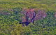 Litchfield Park Scenic Flight From Darwin - thumb 1