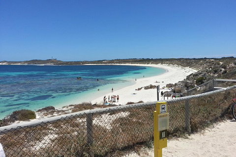 Wave Rock, Pinnacles And Rottnest One Day Aeroplane Tour - Pubs Perth 2