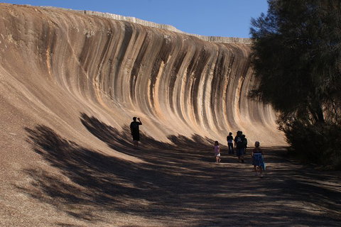 Wave Rock, Pinnacles And Rottnest One Day Aeroplane Tour - Pubs Perth 4