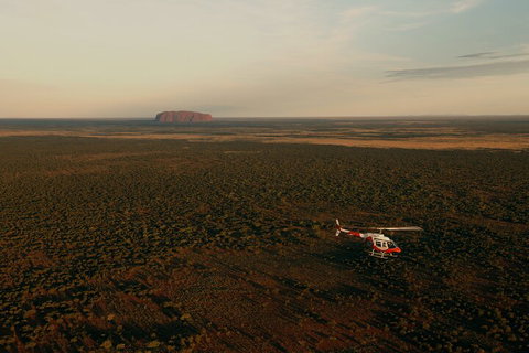 Helicopter Scenic: Lizard Safari - Pubs Perth 4