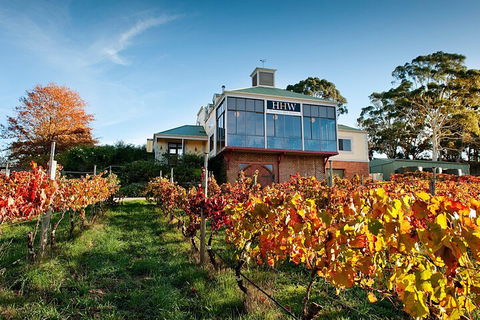 Adelaide Hills Food, Wine, Cheese, & Chocolate - Private Day Tour - Pubs Perth 3