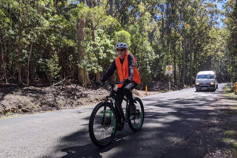 Mount Wellington Descent Cycling Tour Departs Hobart - Pubs Perth 3