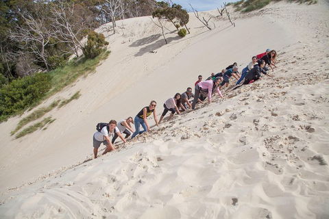6-Day Tasmanian Explorer Adventure Tour From Hobart - Pubs Perth 2