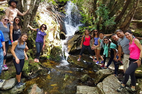 7-Day Super Value Tour Of Tasmania: Explore Tasmania's West And East Coasts - Pubs Perth 2
