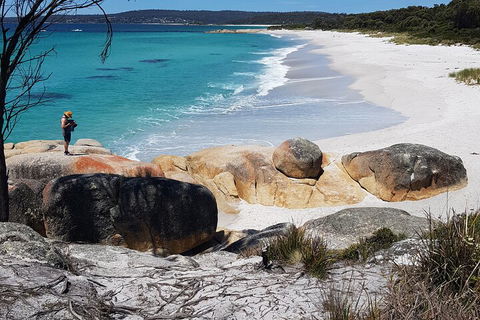 2-Day Tas East Coast Escape Tour Including Bay Of Fires, Wineglass Bay & Devils - Pubs Perth 4