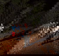 Alice Springs Desert Park Nocturnal Tour - Pubs Perth
