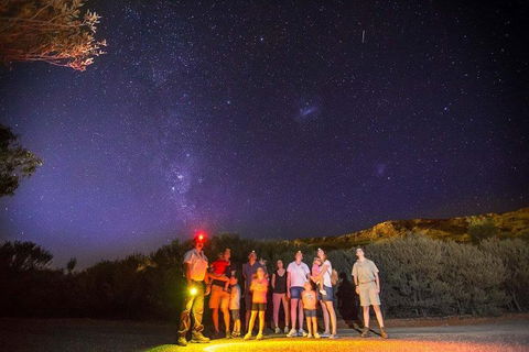 Alice Springs Desert Park Nocturnal Tour - Pubs Perth 2