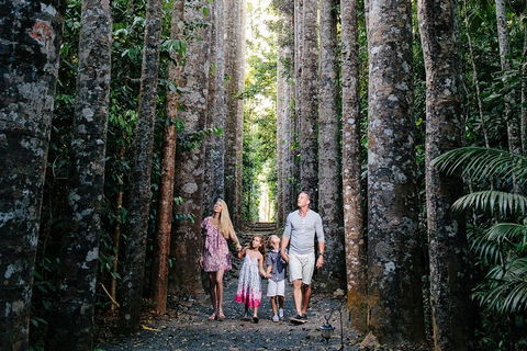The Original Day Tour To Paronella Park, Lake Barrine And Millaa Millaa Falls - Pubs Perth 1