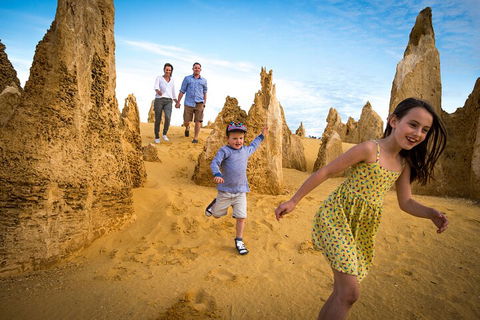 Full-Day Pinnacles Desert And Yanchep National Park Tour From Perth - Pubs Perth 0