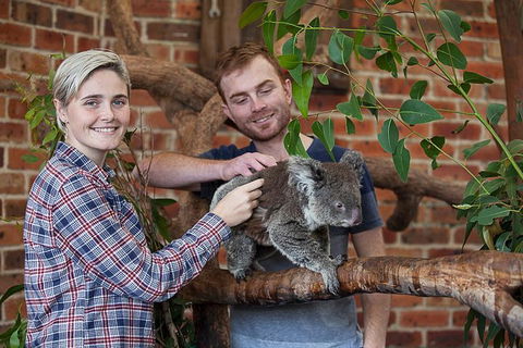 Private Tour: Blue Mountains Day Trip From Sydney - Pubs Perth 0