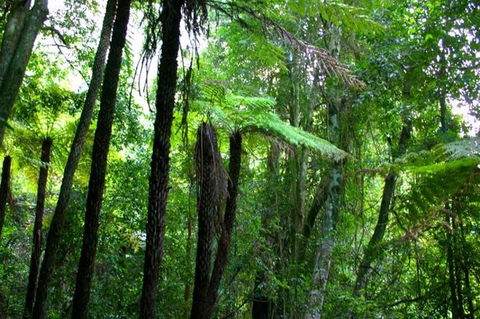 Private Tour: Blue Mountains Day Trip From Sydney - Pubs Perth 4