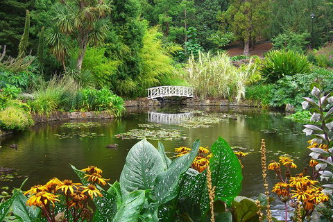 Hobart City Sightseeing Tour Including MONA Admission - Pubs Perth 3