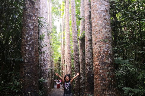 Private Tour To Paronella Park, Historic Village Herberton And Wild Life Wallaby - Pubs Perth 2