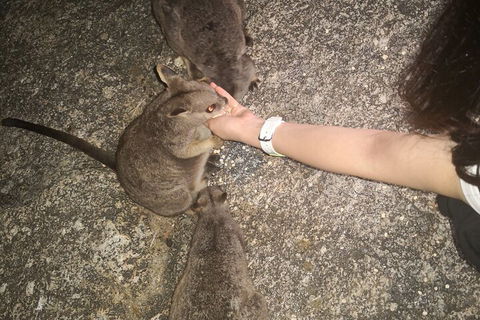 Private Tour To Paronella Park, Historic Village Herberton And Wild Life Wallaby - Pubs Perth 4