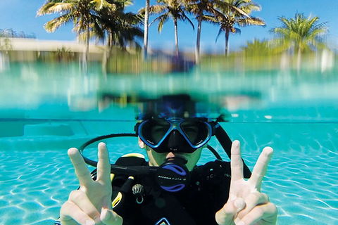 Adventure Moreton Island Scuba Dive Tour - Pubs Perth 2