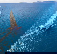 2-Night Whitsunday Islands Sailing Adventure on Trimaran Avatar - Pubs Perth