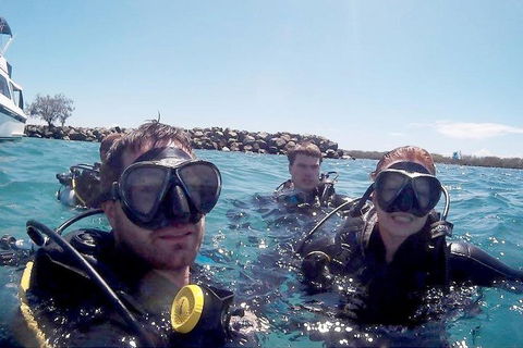 Wave Break Island Scuba Diving On The Gold Coast - Pubs Perth 0
