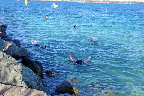 Wave Break Island Scuba Diving On The Gold Coast - Pubs Perth 1