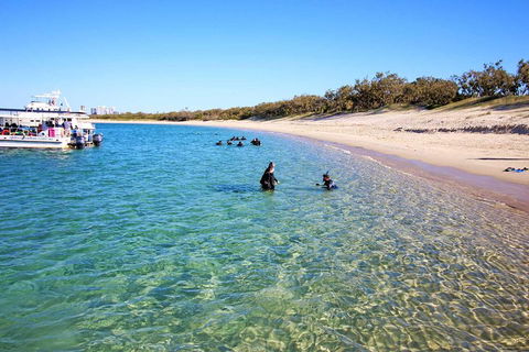 Wave Break Island Scuba Diving On The Gold Coast - Pubs Perth 4