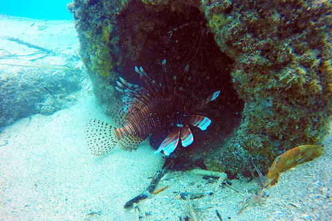 Wave Break Island Scuba Diving On The Gold Coast - Pubs Perth 5