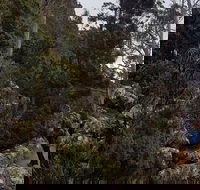 kunanyi / Mt. Wellington Guided Hiking Tour - Pubs Perth