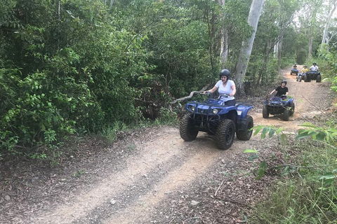 Cairns ATV Adventure Tour And Morning Train - Pubs Perth 0
