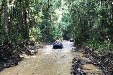 Cairns ATV Adventure Tour And Morning Train - Pubs Perth 1