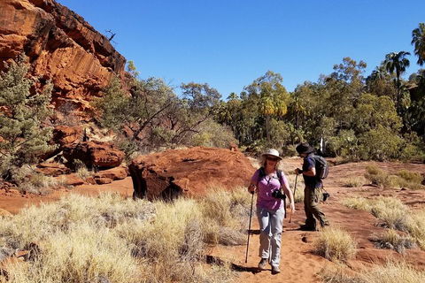 Palm Valley And Hermannsburg 1 Day 4WD Tour - Pubs Perth 1