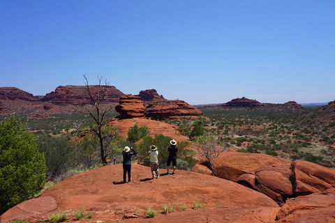Palm Valley And Hermannsburg 1 Day 4WD Tour - Pubs Perth 2