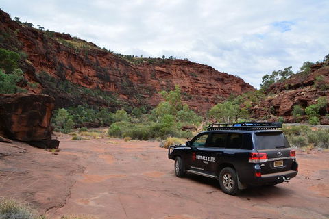 Palm Valley And Hermannsburg 1 Day 4WD Tour - Pubs Perth 5