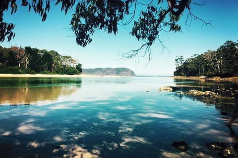 Full-Day Guided Bruny Island Tour From Hobart - Pubs Perth 1