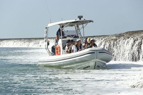Cygnet Bay Explorer - Pubs Perth 2