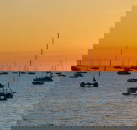 Darwin Hop-on Hop-off Bus Tour - Pubs Perth