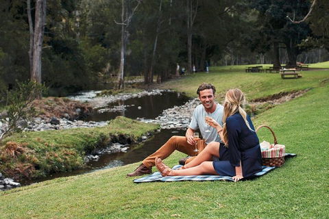 Mt Tamborine - Hinterland Wonders Self Guided - Pubs Perth 0