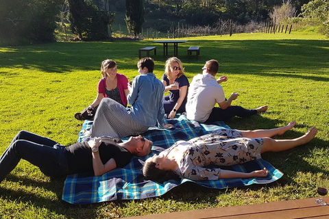 Mt Tamborine - Hinterland Wonders Self Guided - Pubs Perth 2