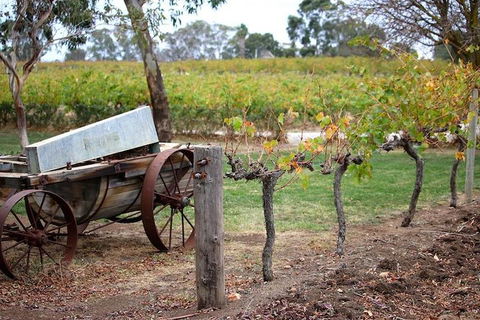 Maggie Beer Farm - Barossa Valley Regional Tour - Pubs Perth 1
