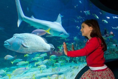 SEA LIFE Melbourne Aquarium Admission Ticket - Pubs Perth 1