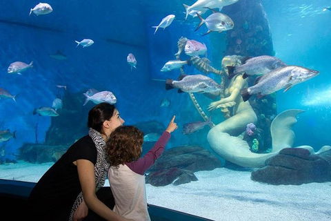 SEA LIFE Melbourne Aquarium Admission Ticket - Pubs Perth 4