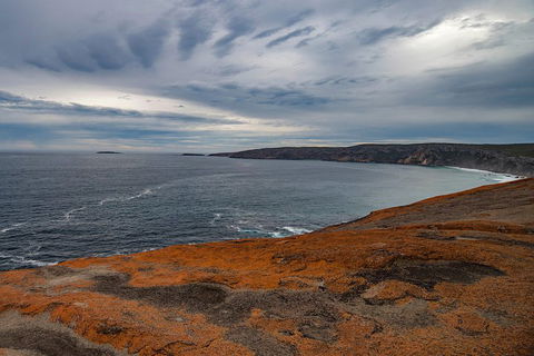 Kangaroo Island Luxury Small Group 'Flinders Chase Focus' Full Day Tour - Pubs Perth 0