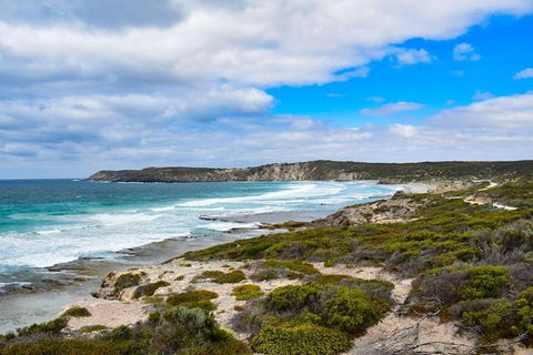 Kangaroo Island Luxury Small Group 'East End Explorer' Full Day Tour - Pubs Perth 0