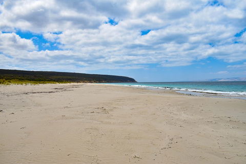 Kangaroo Island Luxury Small Group 'East End Explorer' Full Day Tour - Pubs Perth 3