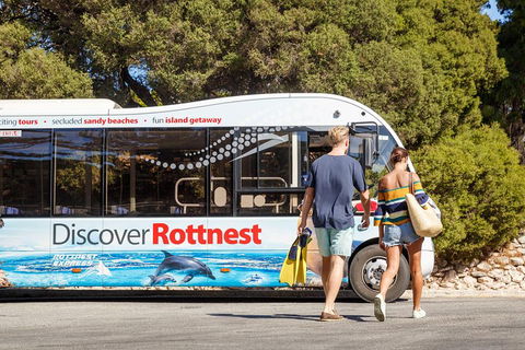 Discover Rottnest With Ferry & Bus Tour From Perth Or Fremantle - Pubs Perth 1