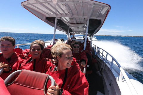 Adventure Rottnest Tour With Ferry & Adventure Cruise From Perth Or Fremantle - Pubs Perth 0