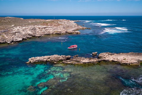 Adventure Rottnest Tour With Ferry & Adventure Cruise From Perth Or Fremantle - Pubs Perth 3